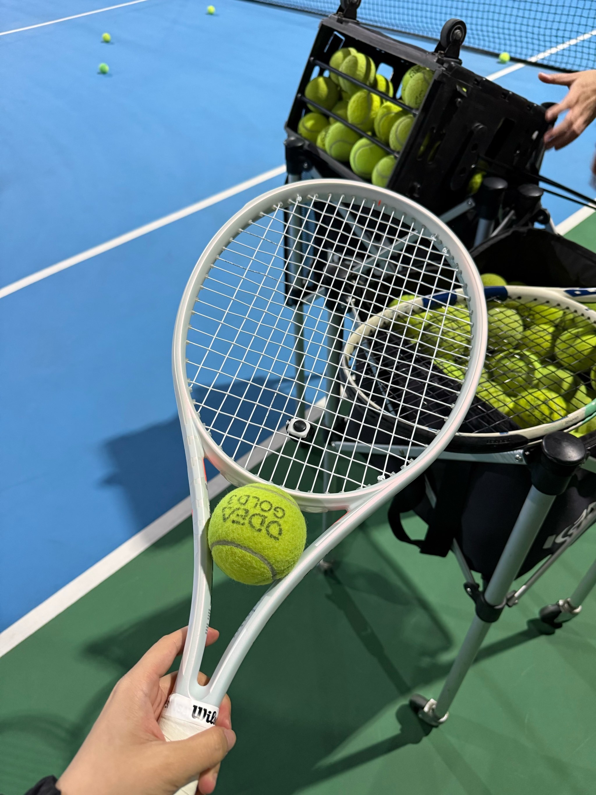 面临的长期 面临的长期